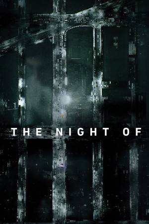 The Night Of | The Night Of (2016)